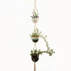Macrame Plant Hanger – Boho Cotton Rope Hanging Planter - soilcommander