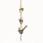Macrame Plant Hanger – Boho Cotton Rope Hanging Planter - soilcommander
