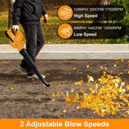 Powerful 2 - Speed Cordless Electric Leaf Blower with Dual Batteries and Charger - soilcommander