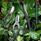 Premium Sharp Garden Scissors Tool With Ergonomic & Non - Slip Handle - soilcommander
