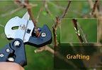 Professional 2 - in - 1 Garden Grafting Tool and Fruit Tree & Pruning Shears - soilcommander