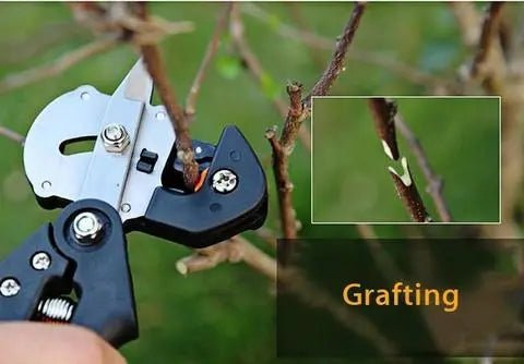 Professional 2 - in - 1 Garden Grafting Tool and Fruit Tree & Pruning Shears - soilcommander