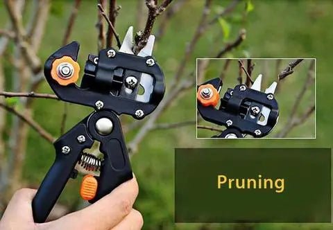 Professional 2 - in - 1 Garden Grafting Tool and Fruit Tree & Pruning Shears - soilcommander