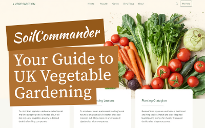Seeds Not Germinating UK guide thumbnail