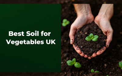 Best Soil for Vegetables UK guide thumbnail