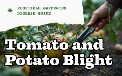 Tomato and Potato Blight guide thumbnail