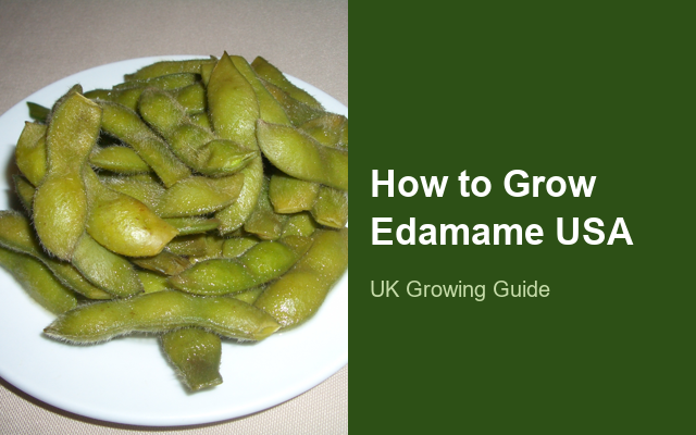How to Grow Edamame (Soybean) USA | Complete Growing Guide guide thumbnail