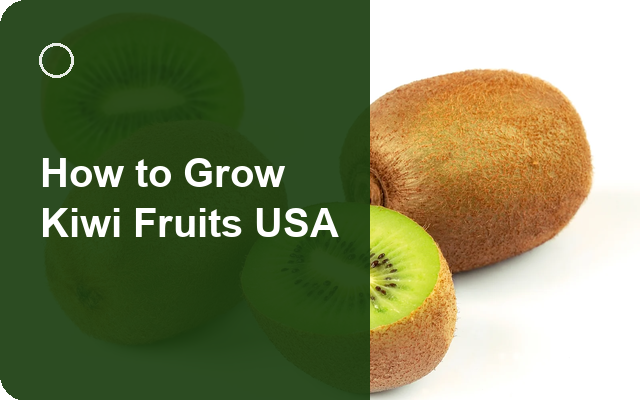 How to Grow Kiwi Fruits USA | Care, Pests & Disease Control guide thumbnail