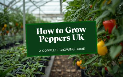 Peppers guide thumbnail