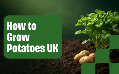 Potatoes guide thumbnail