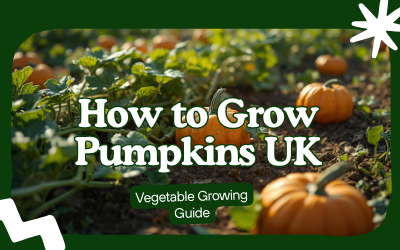 Pumpkins guide thumbnail
