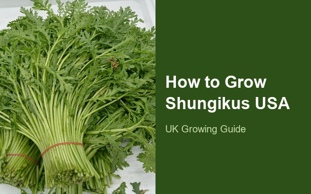 How to Grow Shungikus USA | Complete Growing Guide guide thumbnail