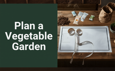 How to Plan a Vegetable Garden UK guide thumbnail
