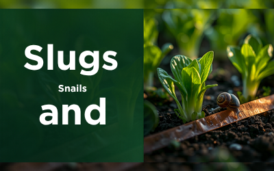 Slugs and Snails guide thumbnail