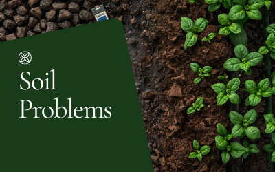 Soil Problems guide thumbnail