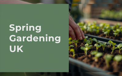 Spring Gardening UK | What to Do & Grow guide thumbnail