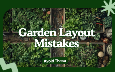 Garden Layout Mistakes guide thumbnail