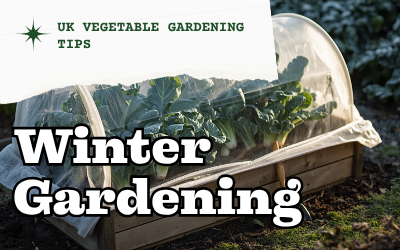 Winter Gardening UK | What to Do & Grow guide thumbnail