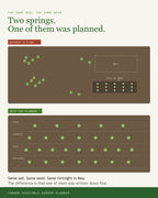 The same Canada vegetable bed sown on guesswork versus sown to a written plan