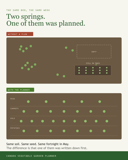 The same Canada vegetable bed sown on guesswork versus sown to a written plan