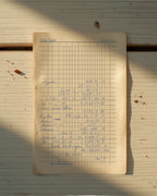 A filled-in planning worksheet from the Global vegetable garden planner PDF, handwritten in pencil