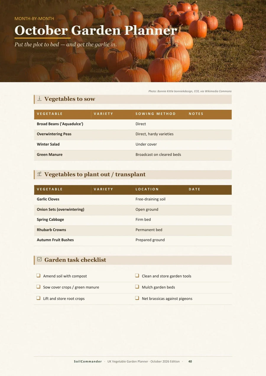 Inside the UK vegetable garden planner PDF — the October page: what to sow, what to plant out and the garden checklist