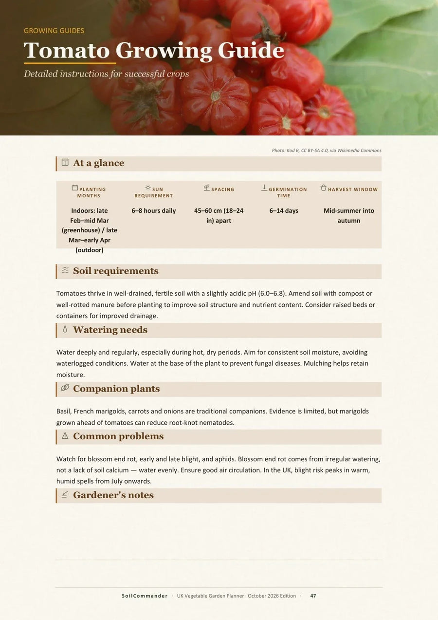 Inside the UK vegetable garden planner PDF — the tomato growing guide: sowing months, spacing, soil and problems