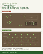 The same USA vegetable bed sown on guesswork versus sown to a written plan