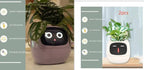 Smart Planter Endless Fun Over 49 Rich Expressions 7 Smart Sensors And AI Chips Make Raising Plants Easy And Fun - soilcommander