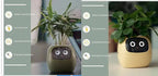 Smart Planter Endless Fun Over 49 Rich Expressions 7 Smart Sensors And AI Chips Make Raising Plants Easy And Fun - soilcommander