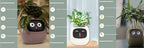 Smart Planter Endless Fun Over 49 Rich Expressions 7 Smart Sensors And AI Chips Make Raising Plants Easy And Fun - soilcommander