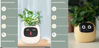 Smart Planter Endless Fun Over 49 Rich Expressions 7 Smart Sensors And AI Chips Make Raising Plants Easy And Fun - soilcommander