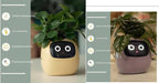 Smart Planter Endless Fun Over 49 Rich Expressions 7 Smart Sensors And AI Chips Make Raising Plants Easy And Fun - soilcommander