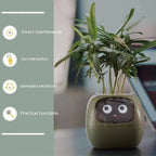 Smart Planter Endless Fun Over 49 Rich Expressions 7 Smart Sensors And AI Chips Make Raising Plants Easy And Fun - soilcommander