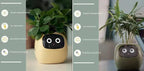 Smart Planter Endless Fun Over 49 Rich Expressions 7 Smart Sensors And AI Chips Make Raising Plants Easy And Fun - soilcommander