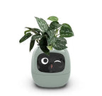 Smart Planter Endless Fun Over 49 Rich Expressions 7 Smart Sensors And AI Chips Make Raising Plants Easy And Fun - soilcommander