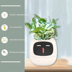 Smart Planter Endless Fun Over 49 Rich Expressions 7 Smart Sensors And AI Chips Make Raising Plants Easy And Fun - soilcommander