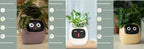 Smart Planter Endless Fun Over 49 Rich Expressions 7 Smart Sensors And AI Chips Make Raising Plants Easy And Fun - soilcommander