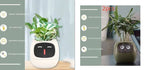 Smart Planter Endless Fun Over 49 Rich Expressions 7 Smart Sensors And AI Chips Make Raising Plants Easy And Fun - soilcommander
