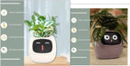 Smart Planter Endless Fun Over 49 Rich Expressions 7 Smart Sensors And AI Chips Make Raising Plants Easy And Fun - soilcommander
