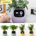 Smart Planter Endless Fun Over 49 Rich Expressions 7 Smart Sensors And AI Chips Make Raising Plants Easy And Fun - soilcommander