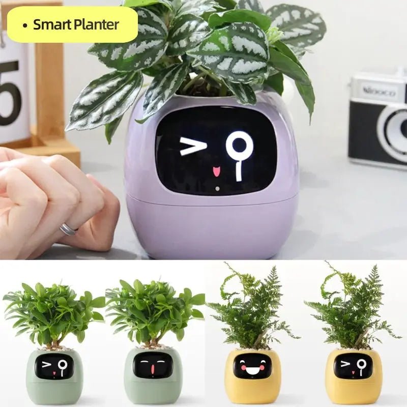 Smart Planter Endless Fun Over 49 Rich Expressions 7 Smart Sensors And AI Chips Make Raising Plants Easy And Fun - soilcommander