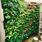 Stackable Vertical Wall Planter for Herbs & Succulents - soilcommander